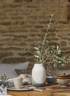 BOL CÔTELÉ EN FAÏENCE LICHEN