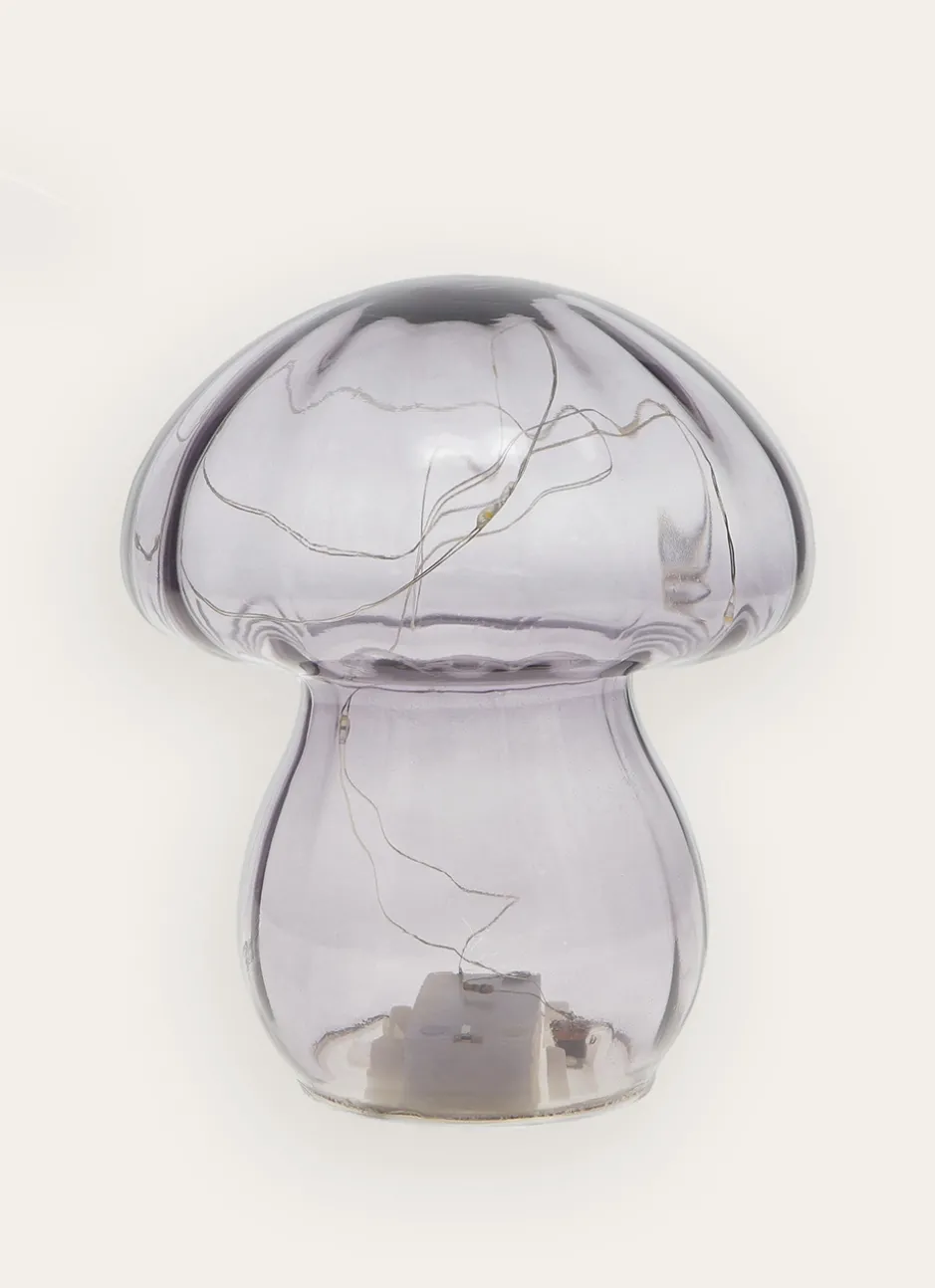 CHAMPIGNON LUMINEUX GRIS