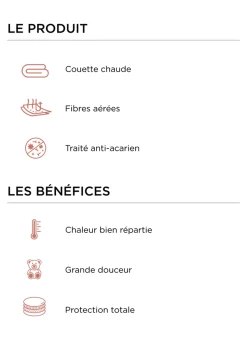 COUETTE DORMOFIL TRÈS CHAUDE EN PERCALE DE COTON ÉCRU