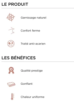 OREILLER CARRÉ NATUREL FERME ANTI-ACARIENS BLANC