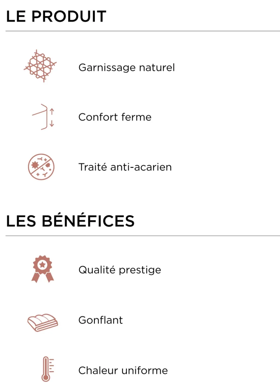 OREILLER CARRÉ NATUREL FERME ANTI-ACARIENS BLANC