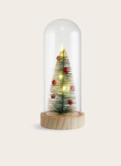 SAPIN LUMINEUX DÉCORÉ SOUS CLOCHE TRANSPARENT